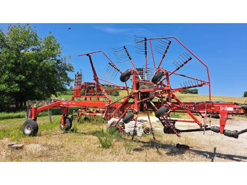 LELY HIBISCUS1525