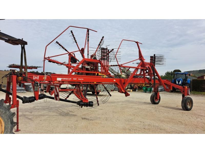 LELY HIBISCUS1525
